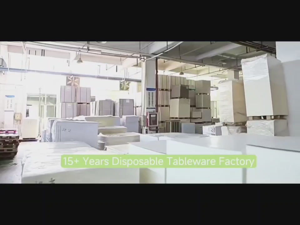 Load video: 15+ Years Disposable Tableware Factory